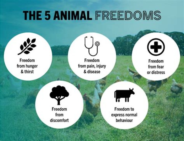 A Force For Animal Welfare And Environmental Protection