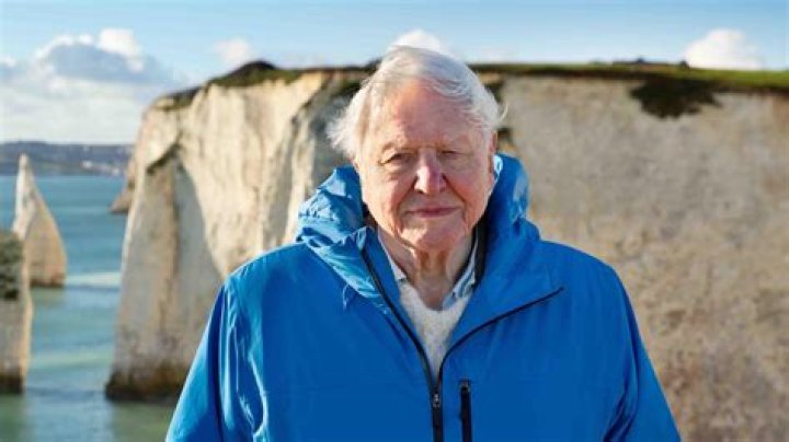 David Attenborough's Well-being And The Rumors Debunked